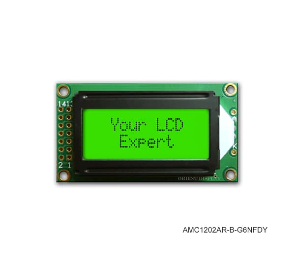 AMC1202AR-B-G6NFDY (12x2 Character LCD Module)
