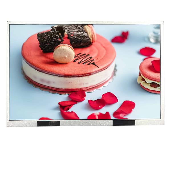 10.1 inch 1280800 Sunlight Readable IPS TFT display